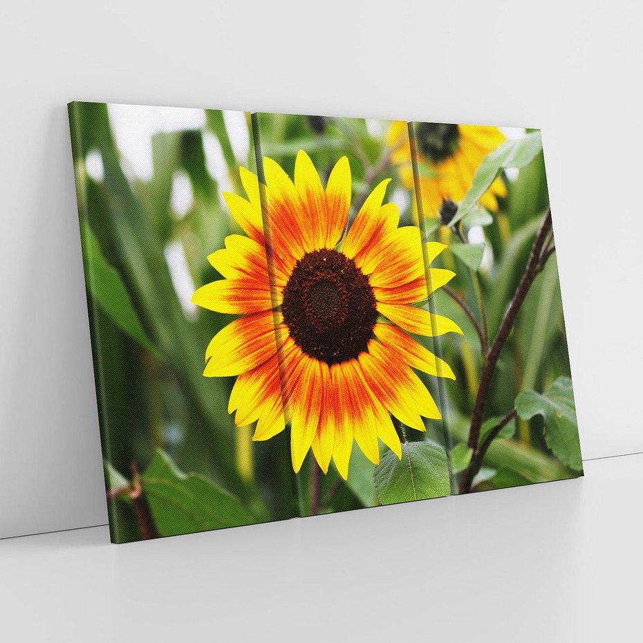 Obraz na płótnie 120x80 - Kwiatowa harmonia natury - słonecznik, kwiaty