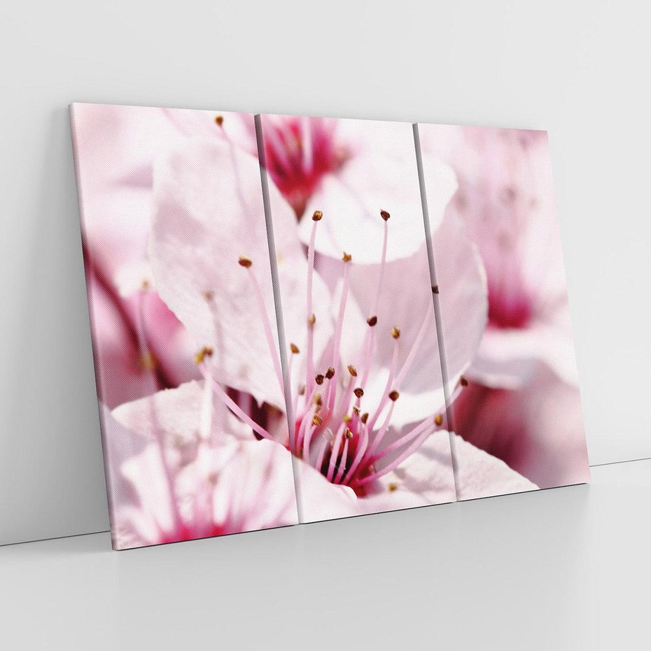 Obraz na płótnie 120x80 - Kwitnąca Wiśnia - kwiaty, kwitnąca