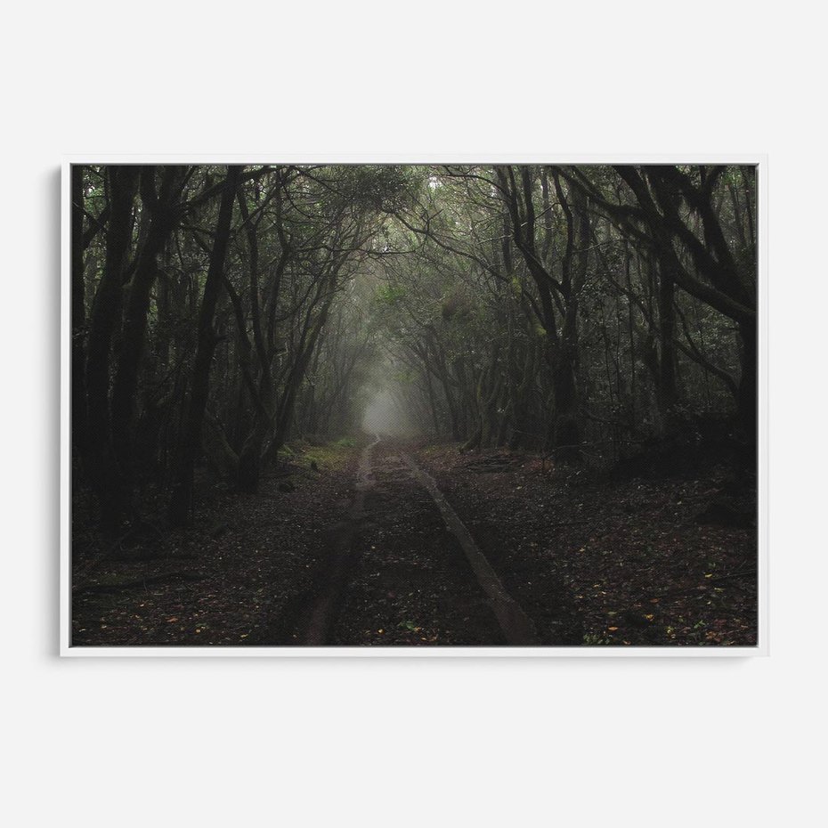 Obraz w ramie 70x50 - Urok Drogi - las, droga - rama biała