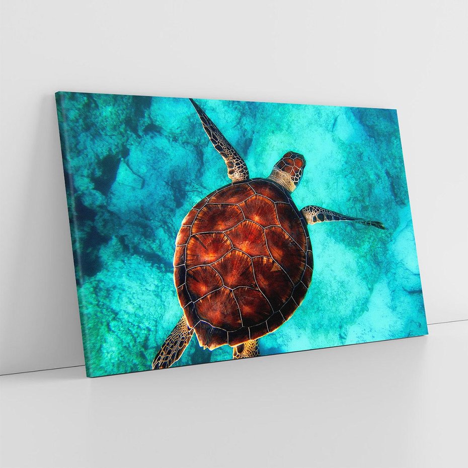 Obraz na płótnie 100x70 - Morze, fale i skały - żółw, morze