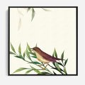 Obraz w ramie 50x50 - Roślinne Nastroje - japońska sztuka, ptak - rama czarna