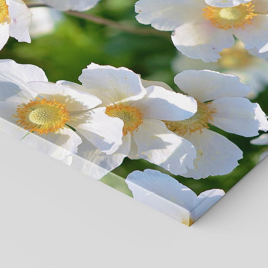 Obraz na płótnie 70x50 - Kwiatowy Raj - kwiat, kwiaty