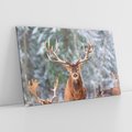 Obraz na płótnie 100x70 - Monarcha Zimowej Dziczy - jeleń, zima
