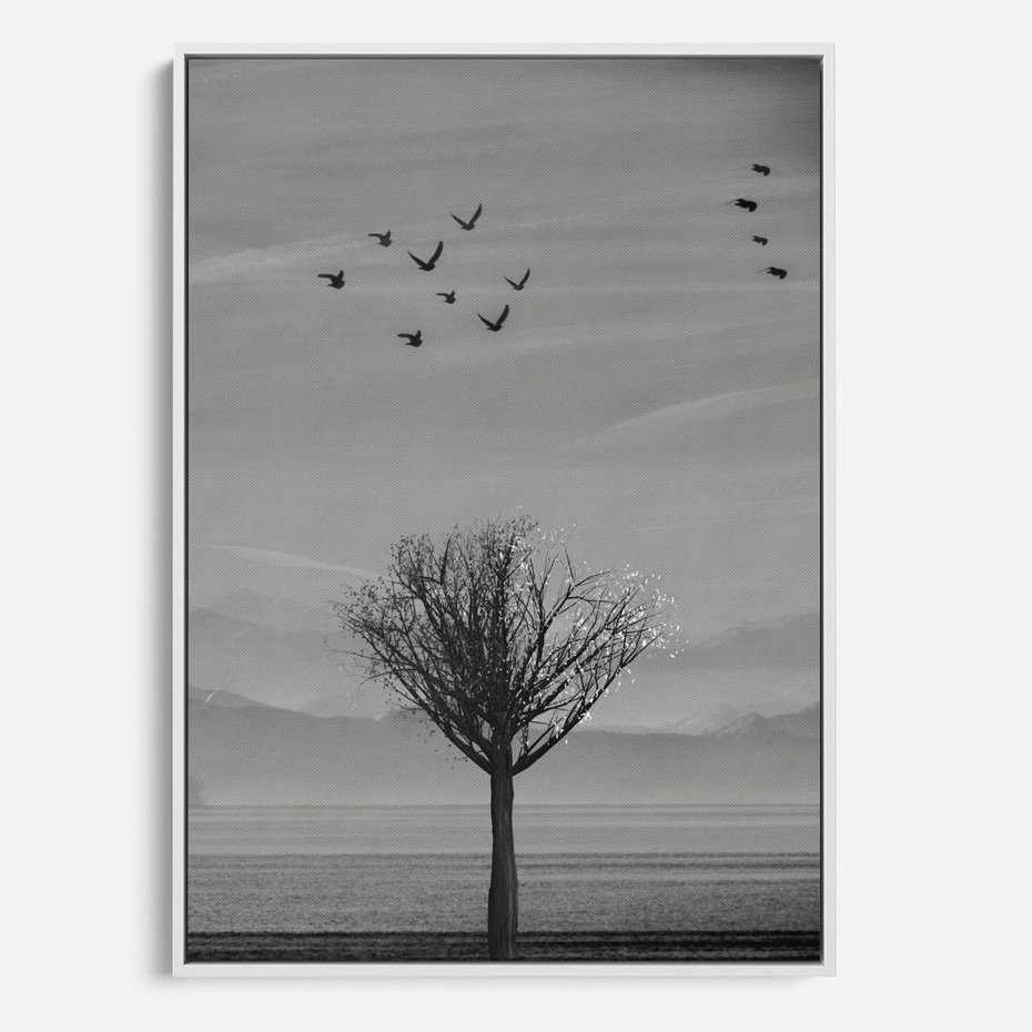 Obraz w ramie 70x100 - Samotne Drzewo - samotne drzewo w polu, czarno białe zdjęcie - rama biała