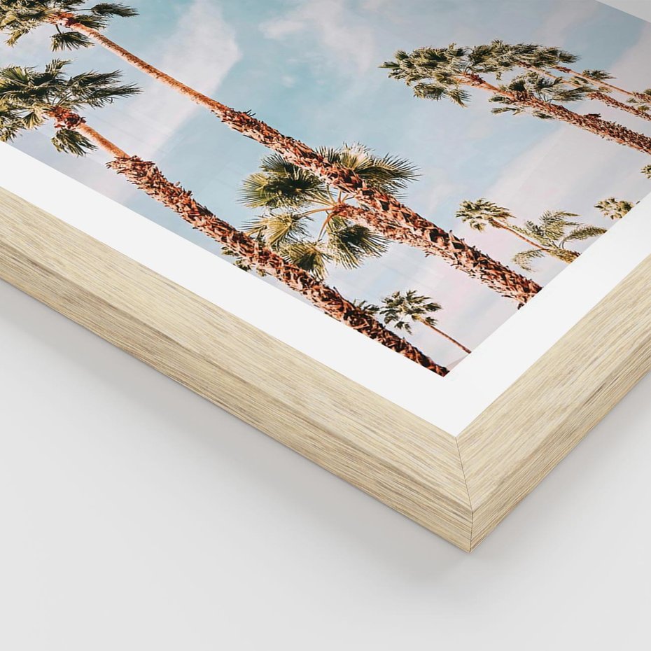 Plakat w ramie 40x50 - Tropikalna Sielskość: Palmy i Błękitne Niebo - palmy na tle błękitnego nieba - rama drewno