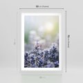 Plakat w ramie 50x70 - Delikatna Uroda Natury - wrzosy, fiolet - rama biała