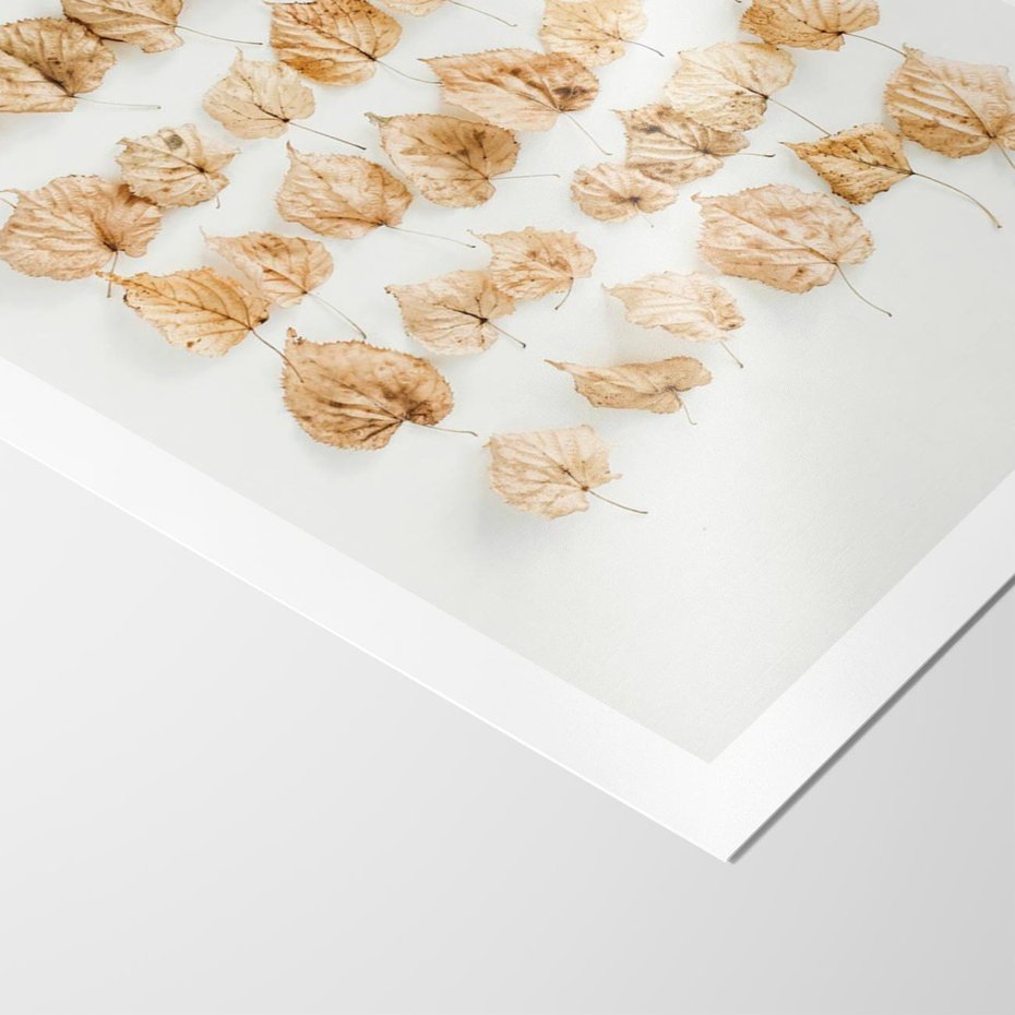 Plakat bez ramy 30x40 - Liście Złotego Sezonu - kompozycja z suchych żółtych liści