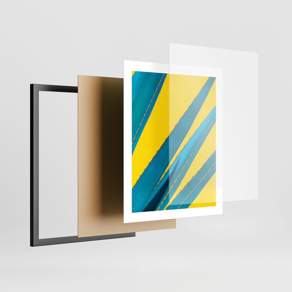 Plakat w ramie 40x50 - Świeżość Natury - aloes, liście - rama czarna