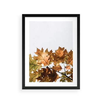 Plakat w ramie 50x70 - Suche Żółte Liście w Malowniczym Ujęciu - liście, żółte - rama czarna