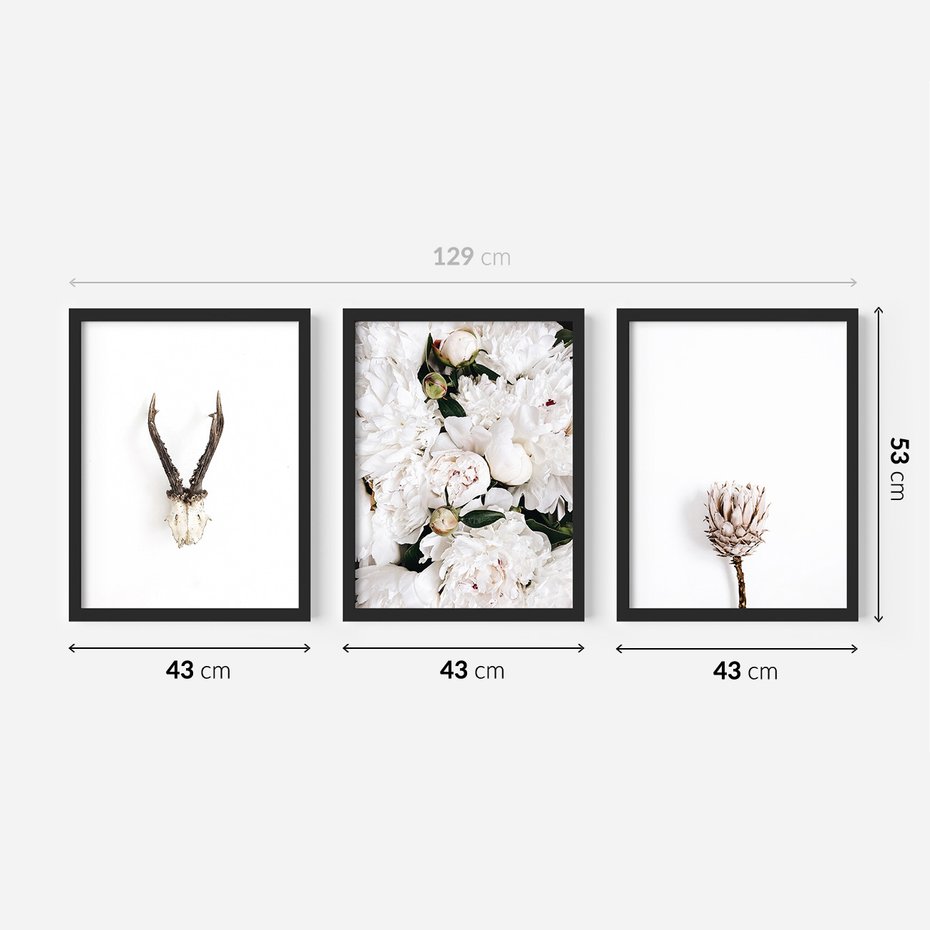 Zestaw obrazy w ramie 40x50 galeria - Kwiaty, boho, styl, minimalizm - rama czarna