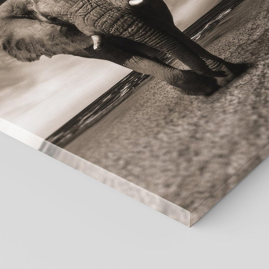 Obraz na płótnie 30x30 - Słoń - Wielki Przyjaciel Morza - słoń, plaża