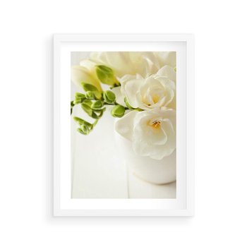 Plakat w ramie 30x40 - Subtelność białych frezji - frezja, białe - rama biała