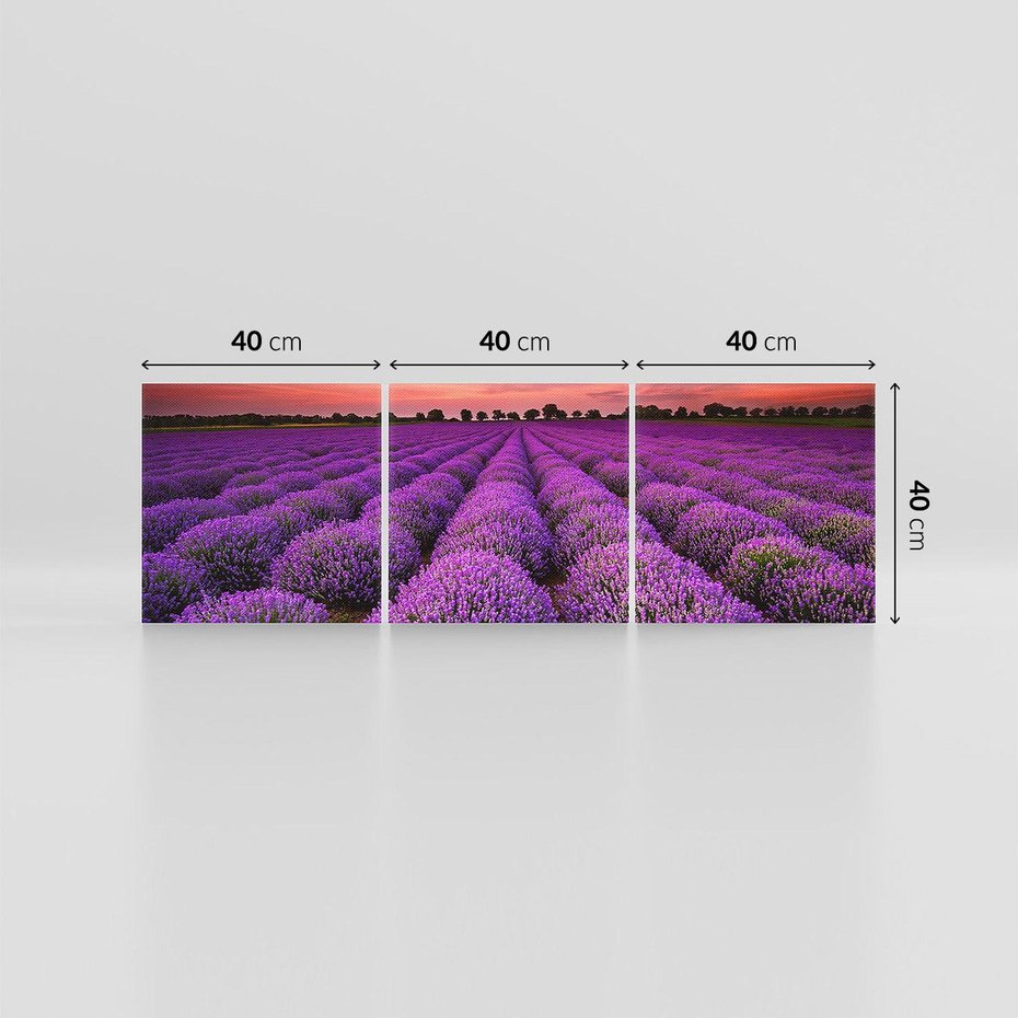 Obraz na płótnie 120x40 - Lawenda: polne zauroczenie - lawenda, kwiaty