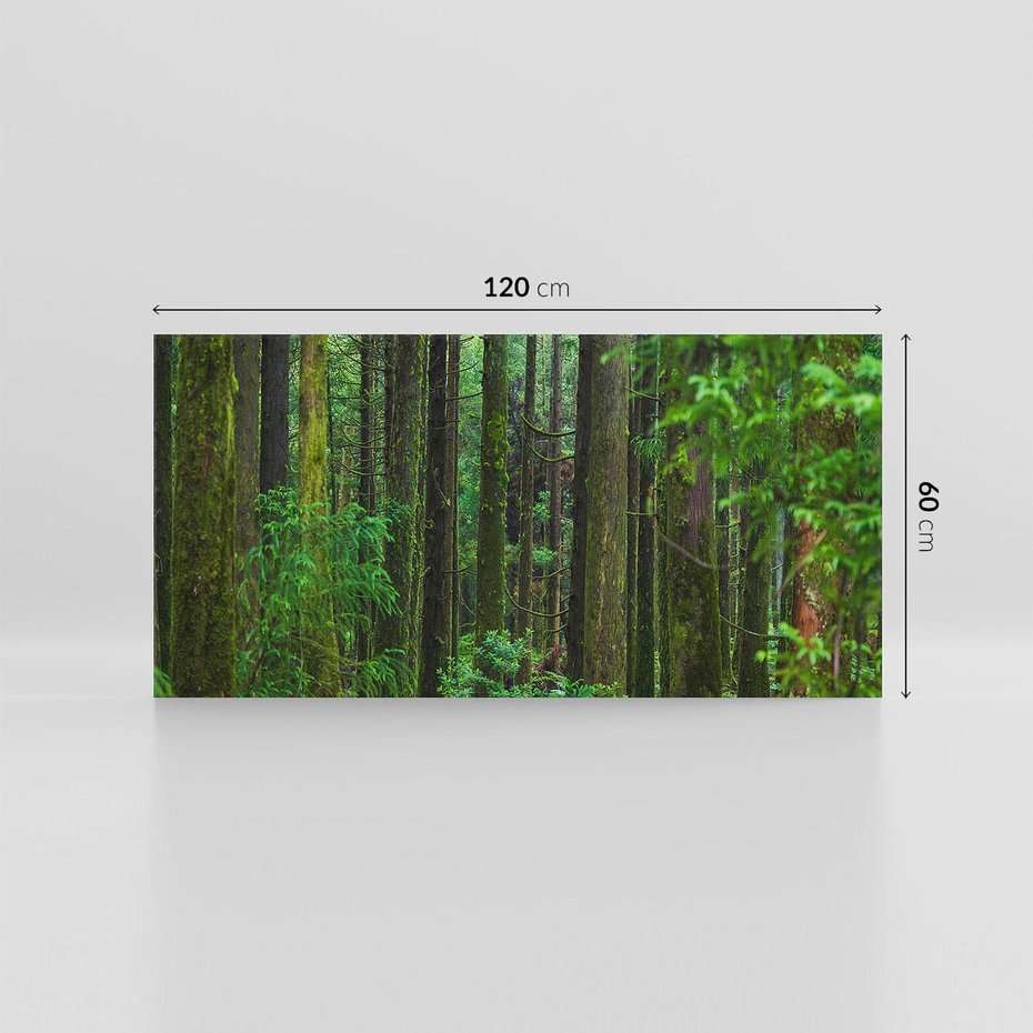 Obraz na płótnie 120x60 - Mistyka leśnej głuszy - las, drzewa