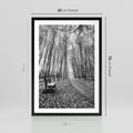 Plakat w ramie 50x70 - Spadające Liście - czarno białe zdjecie, park - rama czarna
