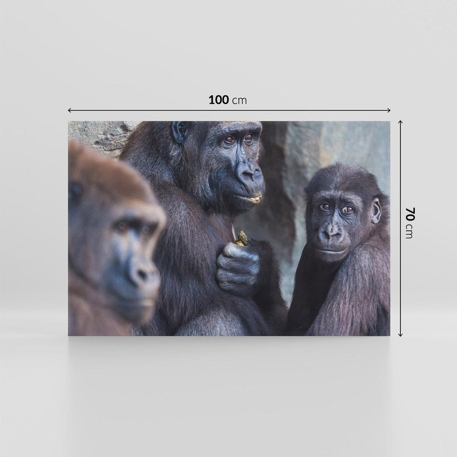 Obraz na płótnie 100x70 - Małpy w ich naturalnym środowisku - małpy, szympansy