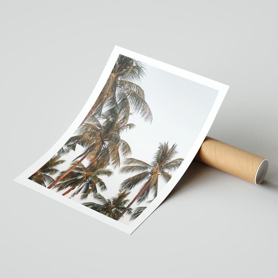 Plakat bez ramy 40x50 - Palmy - tęsknota za Hawajami - palmy, Hawaje