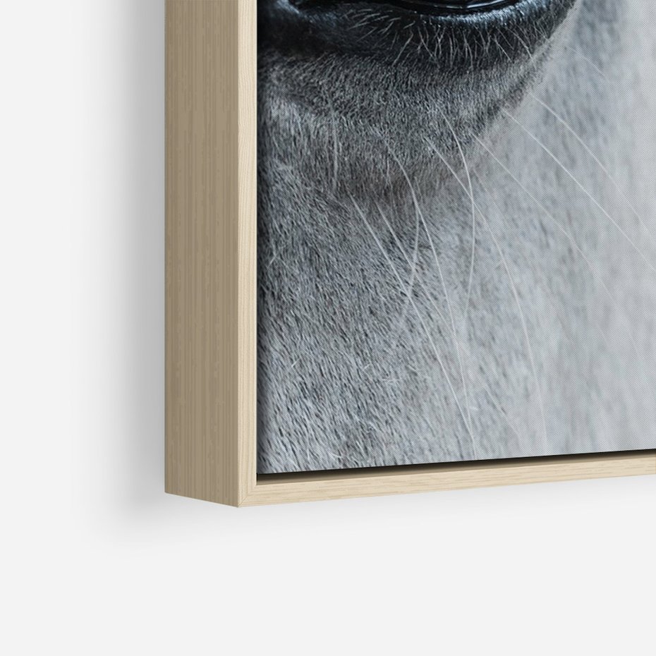 Obraz w ramie 80x120 - Oko Mocy - czarno białe zdjęcie, zbliżenie makro na oko konia - rama drewno