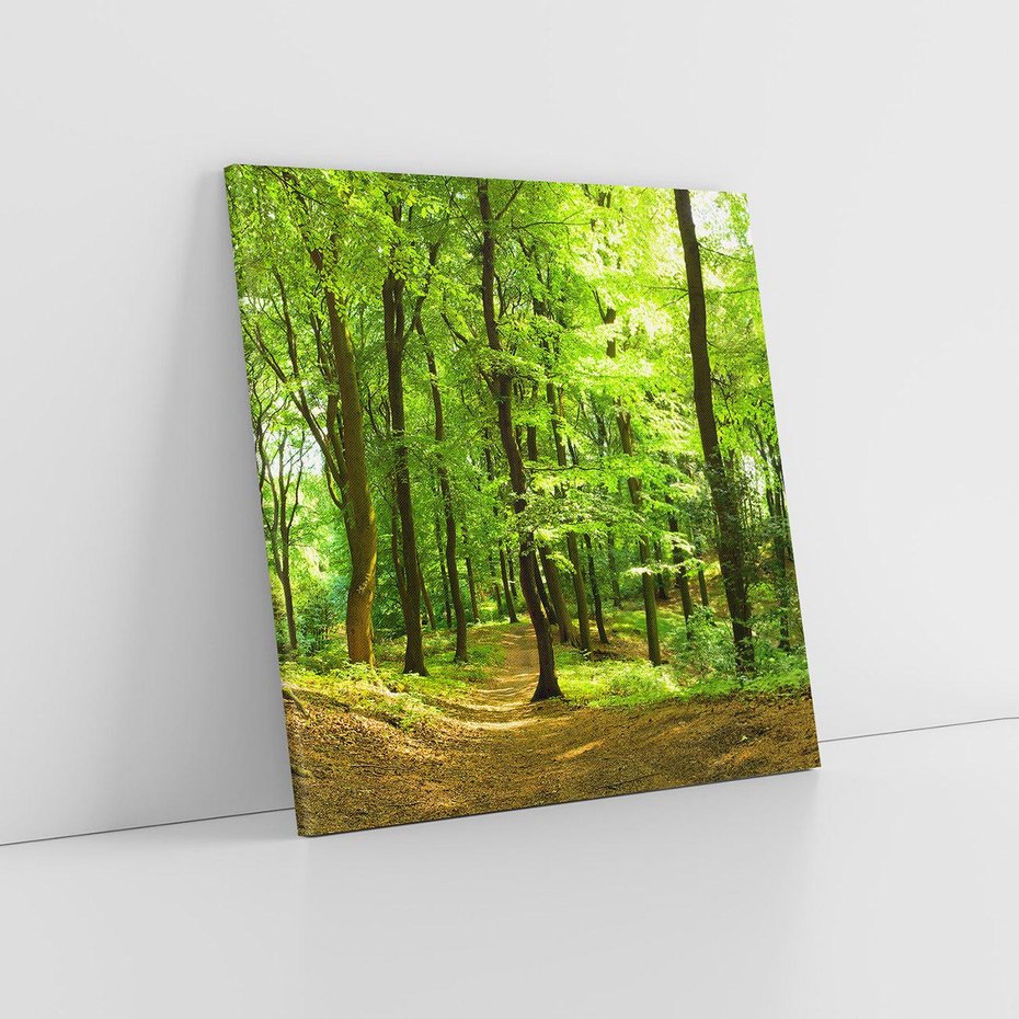 Obraz na płótnie 30x30 - Mistyka leśnych drzew - las, drzewa