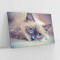 Obraz na płótnie 100x70 - Kotek w artystycznym stylu - kot, kotek