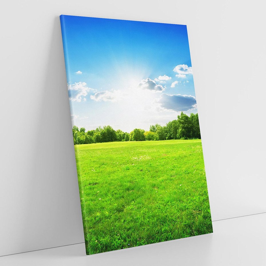 Obraz na płótnie 70x100 - Idylla na łące drzew - łąka, drzewa