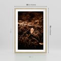 Plakat w ramie 50x70 - Gałęzie i Liść w Brązowej Tonacji - suche gałęzie, liść - rama drewno