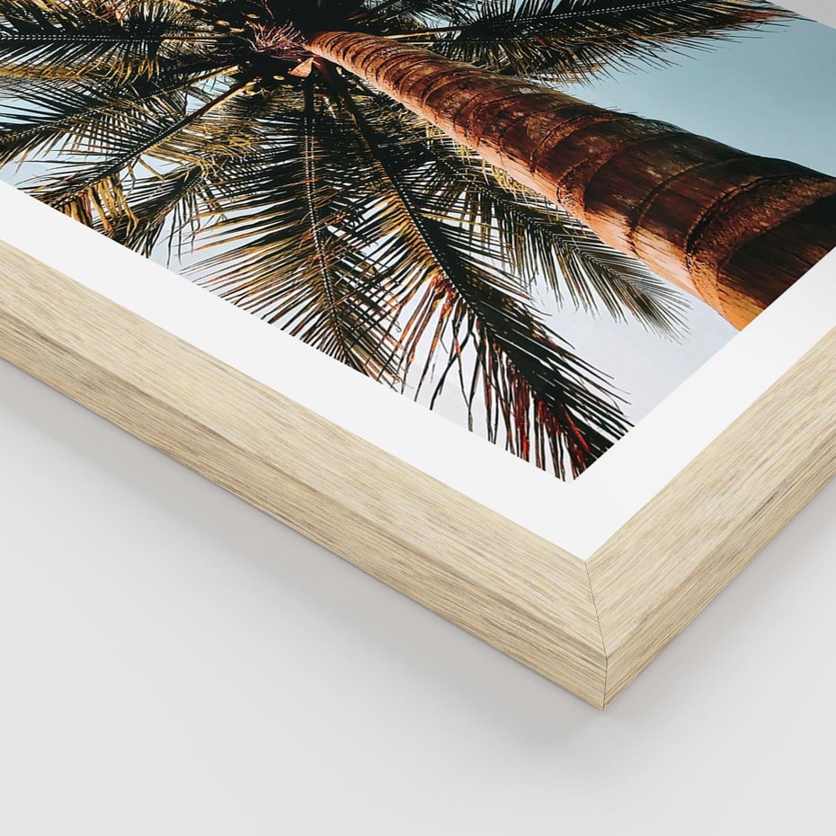 Plakat w ramie 30x40 - Rajskie Inspiracje: Palma na Niebie - palma, na tle nieba - rama drewno