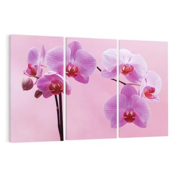 Obraz na płótnie 120x80 - Elegancka orchidea w pełnym rozkwicie - orchidea, kwiaty