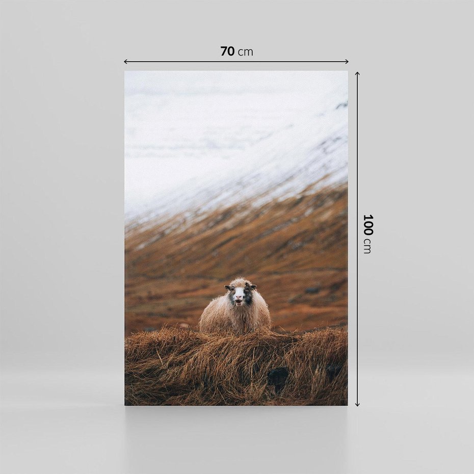 Obraz na płótnie 70x100 - Owiecka panorama - góry, owca