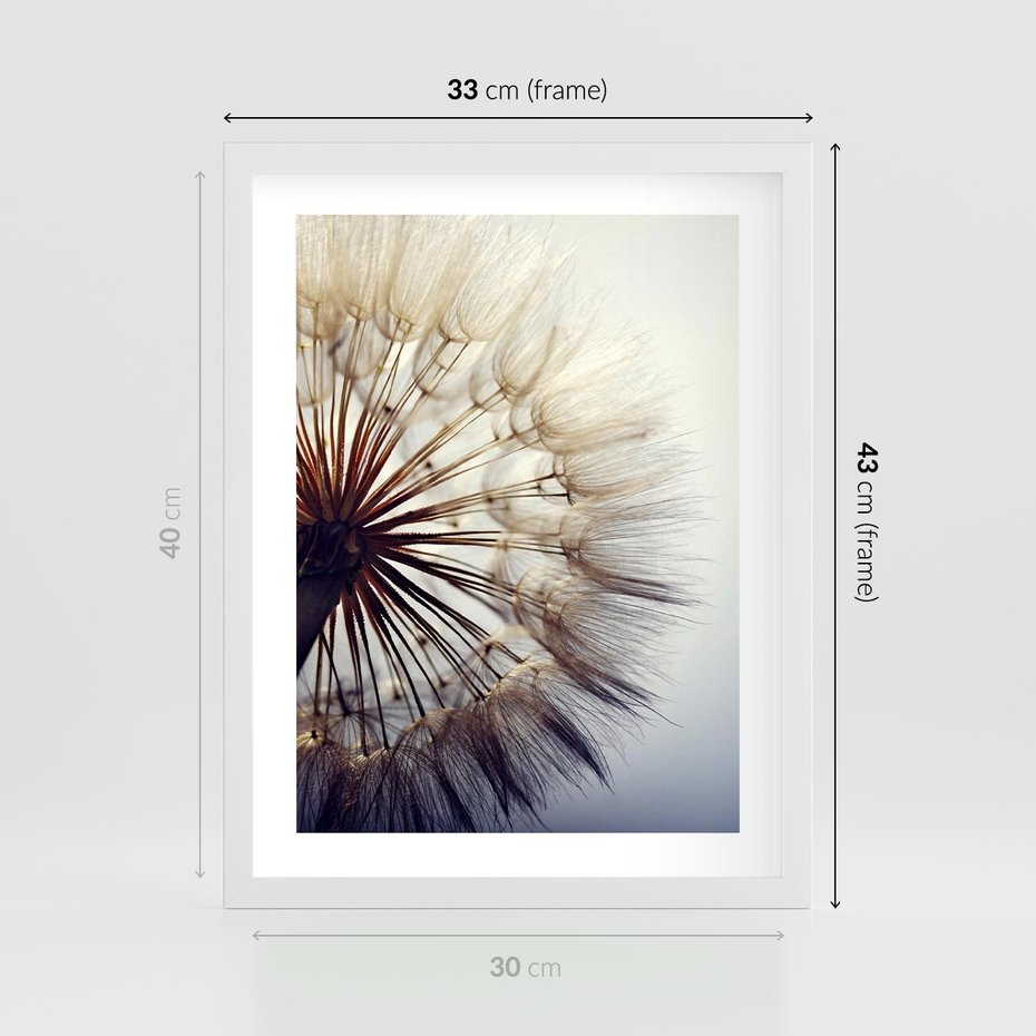 Plakat w ramie 30x40 - Makro piękno dmuchawca - makro, dmuchawiec - rama biała