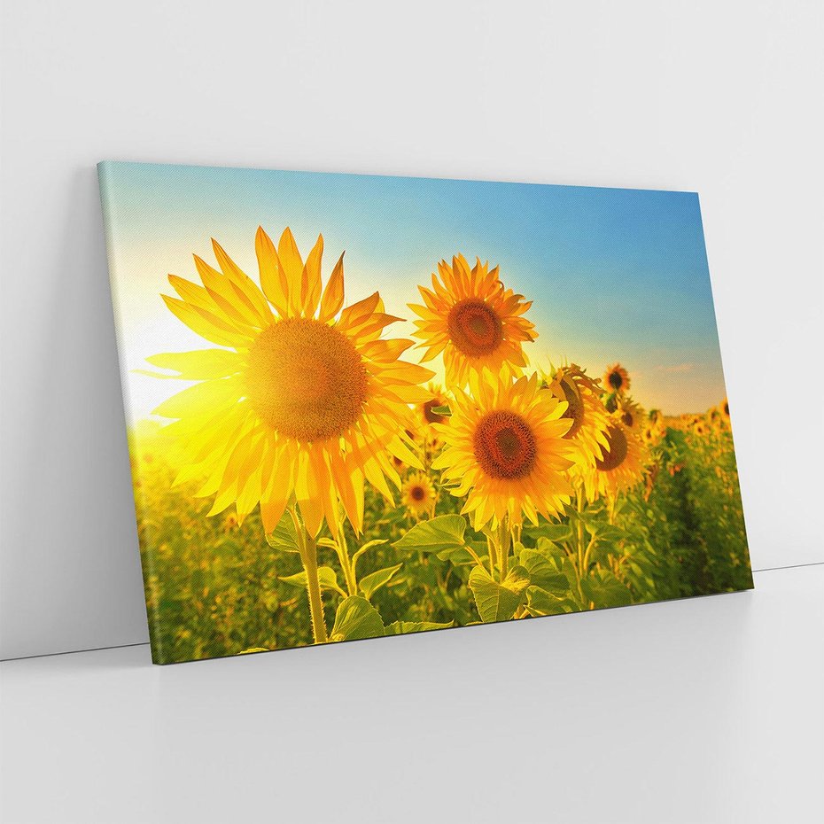 Obraz na płótnie 70x50 - kolorowe promienie - słoneczniki, kwiaty