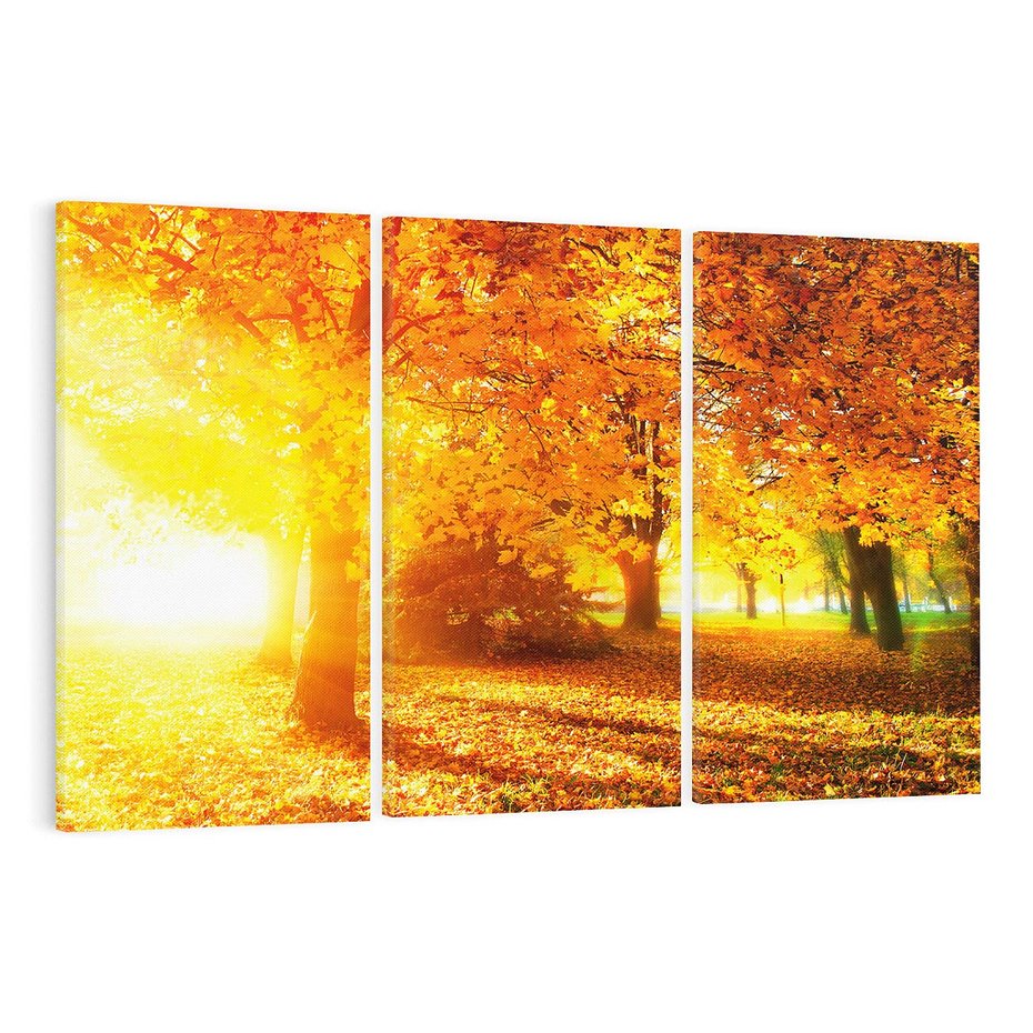 Obraz na płótnie 120x80 - Magia jesiennego lasu - las, drzewa