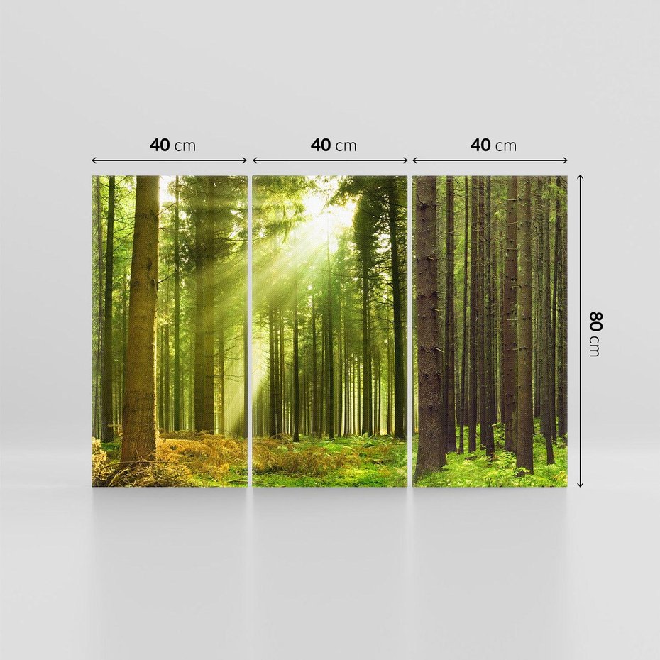 Obraz na płótnie 120x80 - Spokój wśród drzew: las w odcieniach zieleni - las, drzewa