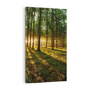 Obraz na płótnie 80x120 - Mistyfikujący urok leśnej głuszy - las, drzewa