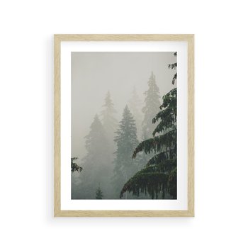Plakat w ramie 30x40 - Mglista przemiana lasu - las, mgła - rama drewno