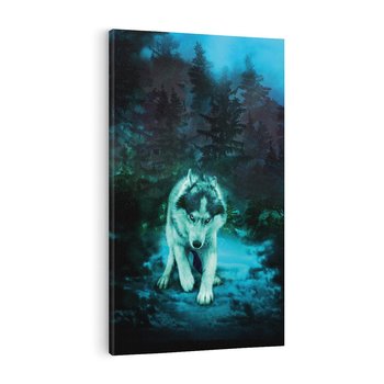 Obraz na płótnie 80x120 - Siła i wdzięk natury - wilk, husky