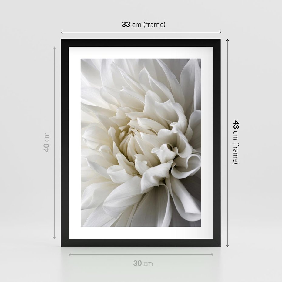 Plakat w ramie 30x40 - Białe Kwiaty Delikatności - białe, kwiaty - rama czarna
