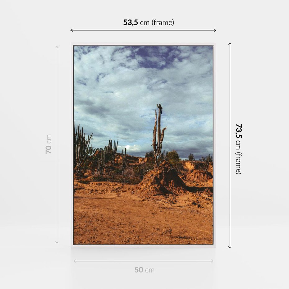 Obraz w ramie 50x70 - Skarby Pustynnego Kanionu - pustynia, kaktusy - rama biała