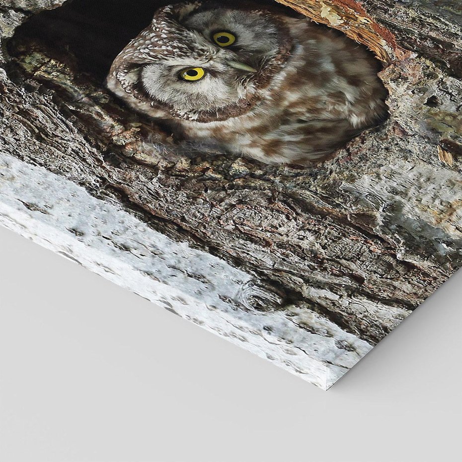 Obraz na płótnie 60x60 - Tajemniczy W świecie Nocy - sowa, dziupla