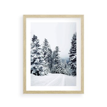 Plakat w ramie 30x40 - Zimowy Las Pod Kołdrą - las, zima - rama drewno