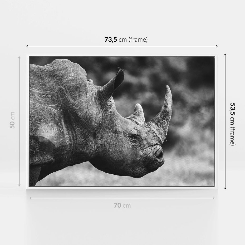 Obraz w ramie 70x50 - Potęga Afryki - czarno biała fotografia, zbliżenie na postać nosorożca - rama biała
