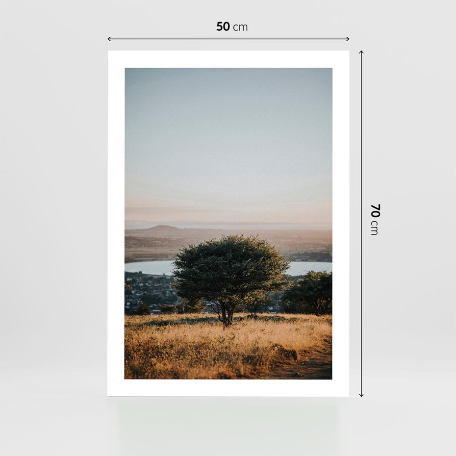 Plakat bez ramy 50x70 - Siła Natury - drzewo, pejzaż