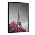 Obraz w ramie 50x70 - Różowy Paryż - czarno białe zdjęcie, wieża eiffla - rama czarna