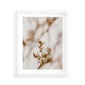 Plakat w ramie 40x50 - Kwiatowa suchość - kwiaty, susz - rama biała