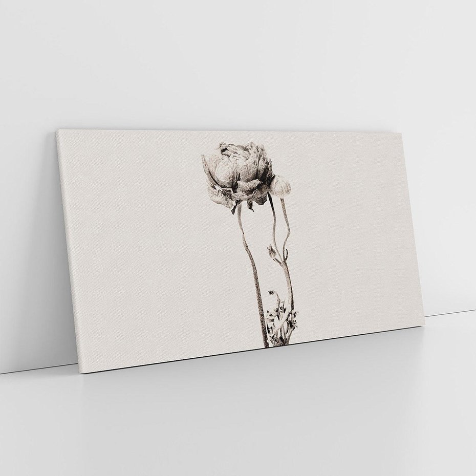 Obraz na płótnie 100x50 - Kwiatowa Symfonia w Szarościach - czarno biała odbitka, jak fotografia