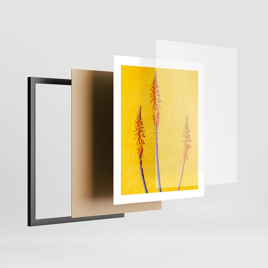 Plakat w ramie 40x50 - Radość Natury - kolor, kwiaty - rama czarna