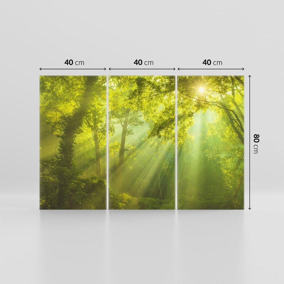 Obraz na płótnie 120x80 - drzewa w harmonii - las, drzewa