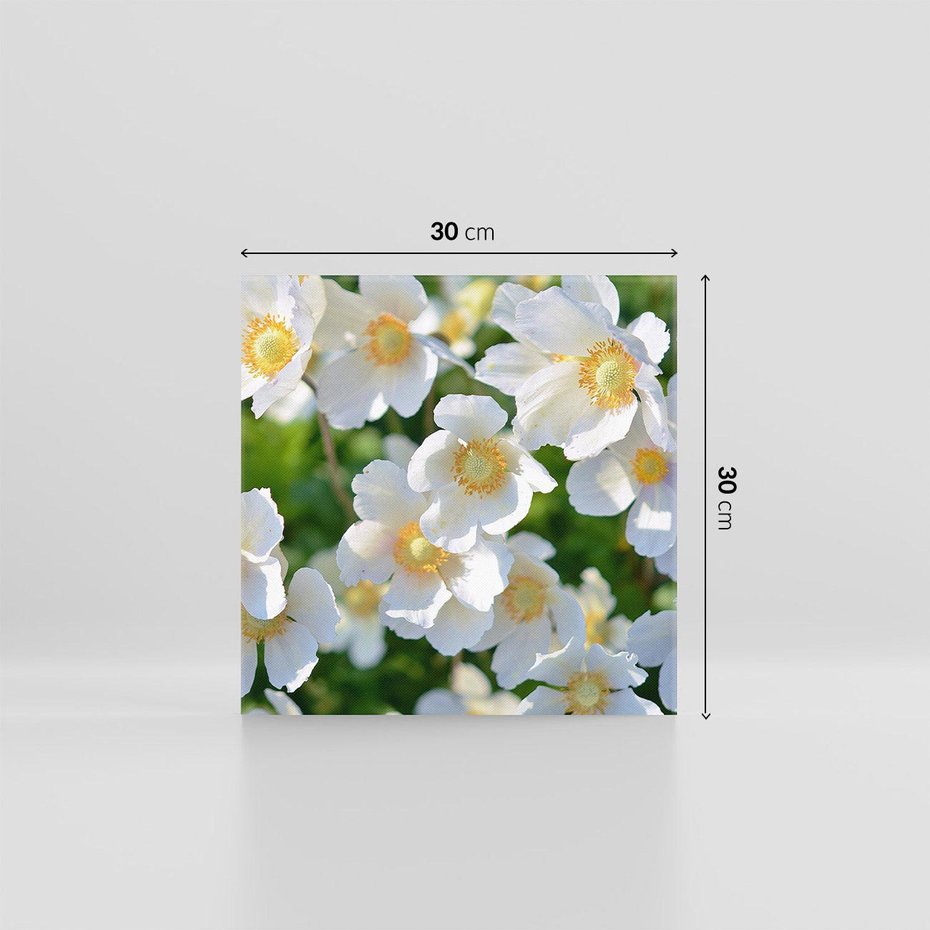 Obraz na płótnie 30x30 - Kwiatowy Raj - kwiat, kwiaty