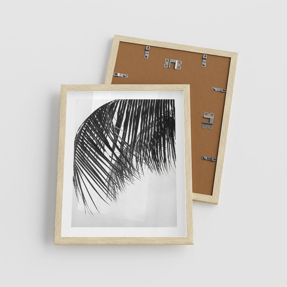 Plakat w ramie 40x50 - Czarno-Biały Kontrast - czarno białe zdjecie, palma - rama drewno