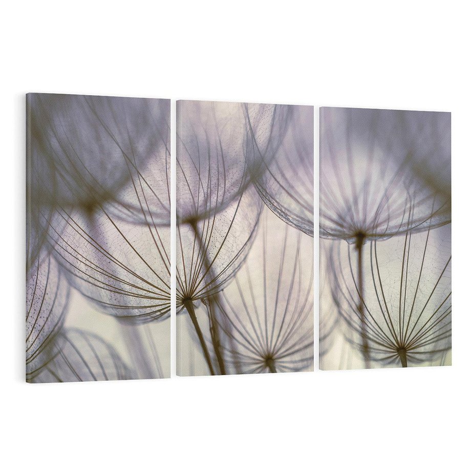 Obraz na płótnie 120x80 - Makro dmuchawiec - piękno drobnych detali - dmuchawce, makro